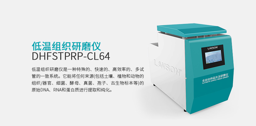 低温组织研磨仪 DHFSTPRP-CL24